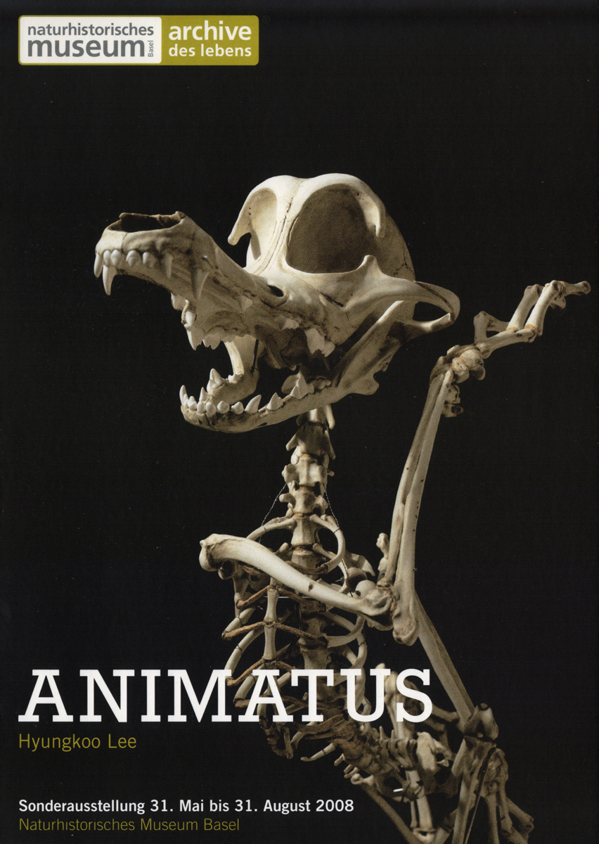 2008, Natural History Museum, Basel - Hyungkoo Lee