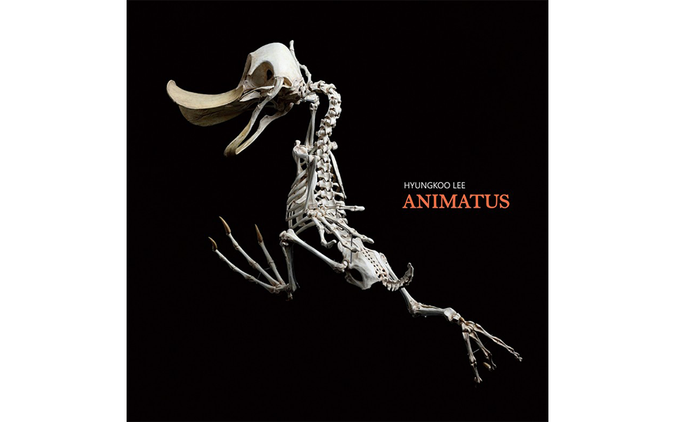 ANIMATUS : Hyungkoo Lee - Hyungkoo Lee
